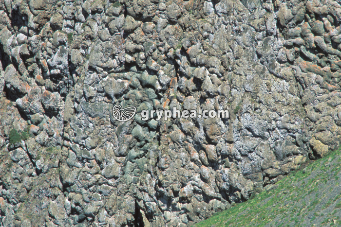 Paroi Collet vert (Chenaillet) - gryphea.com